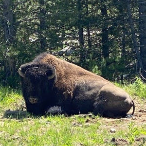 Meet your Posher, James